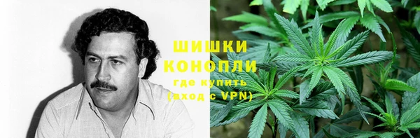 гидропоника Белокуриха