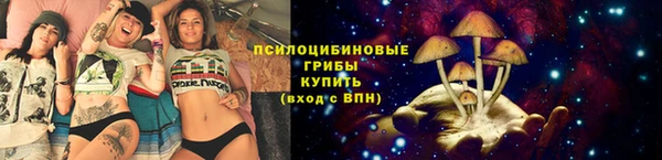 спиды Белоозёрский