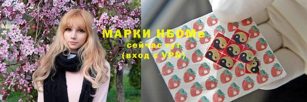 гидропоника Белокуриха